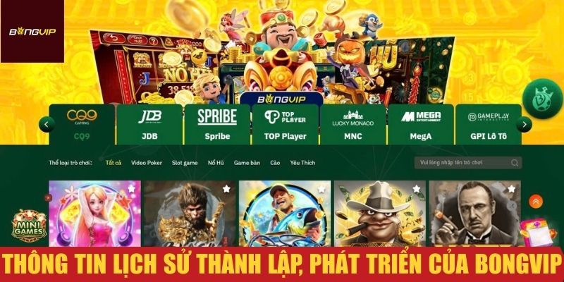 Giới Thiệu Thông Tin Cơ Bản Nhà Cái Bongvip Dành Cho Các Tân Binh